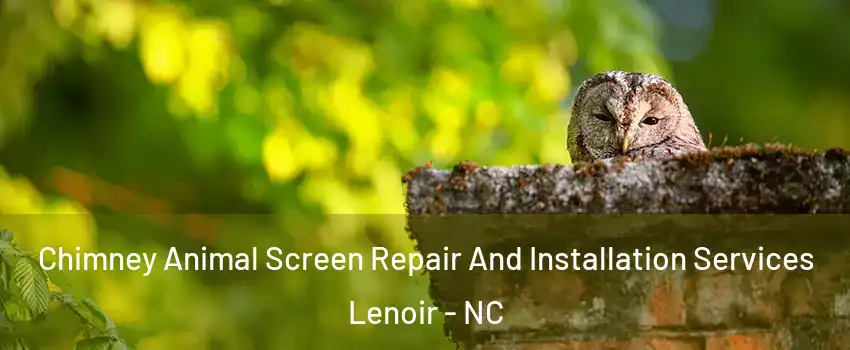  Chimney Animal Screen Repair And Installation Services Lenoir - NC