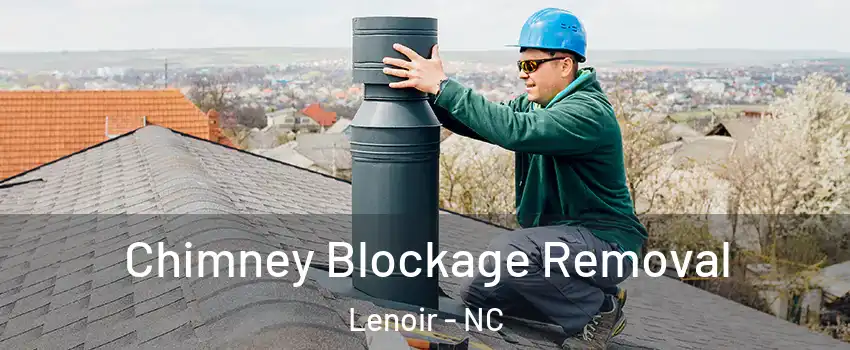  Chimney Blockage Removal Lenoir - NC