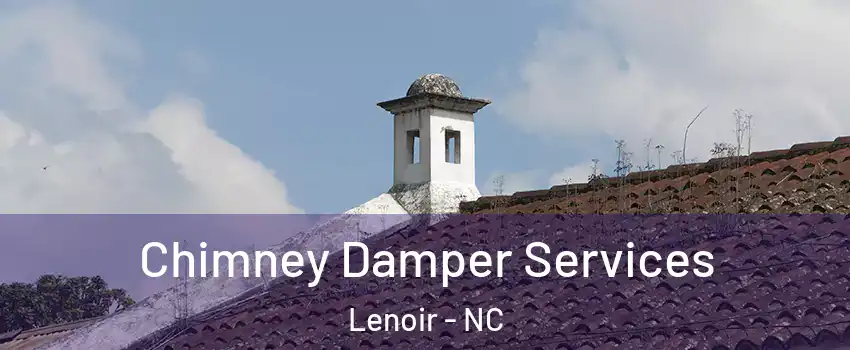  Chimney Damper Services Lenoir - NC