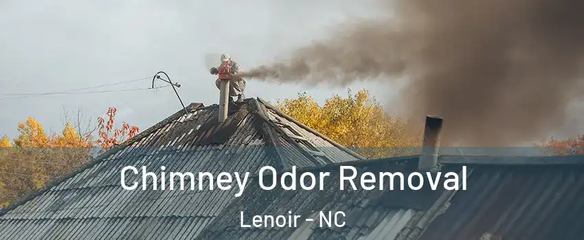  Chimney Odor Removal Lenoir - NC