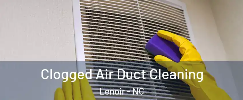  Clogged Air Duct Cleaning Lenoir - NC