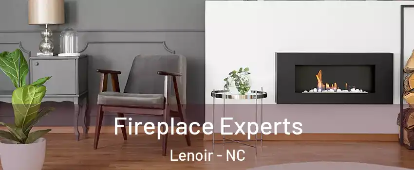  Fireplace Experts Lenoir - NC