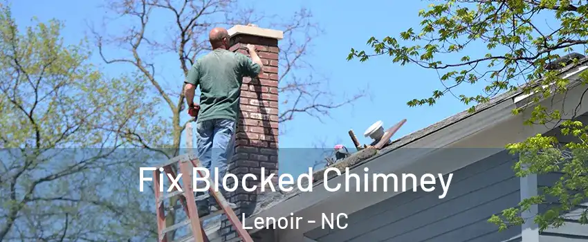  Fix Blocked Chimney Lenoir - NC