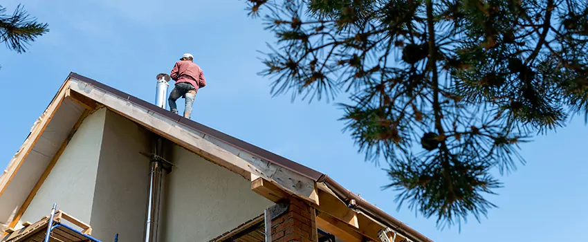 Birds Removal Contractors from Chimney in Lenoir, NC