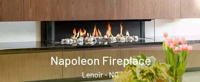  Napoleon Fireplace Lenoir - NC