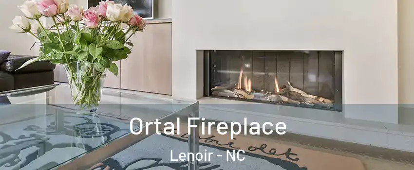  Ortal Fireplace Lenoir - NC
